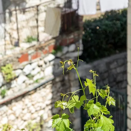 Luxury In Old Town Center With Sea View